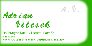 adrian vilcsek business card