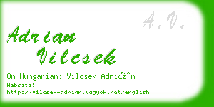 adrian vilcsek business card